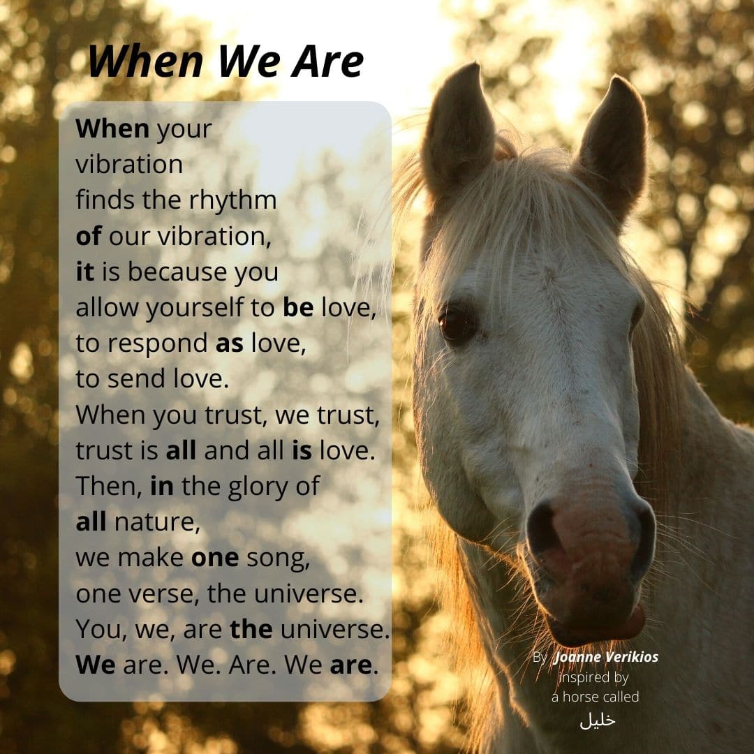 When We Are. A poem by Joanne Verikios, inspired by a horse called خليل 