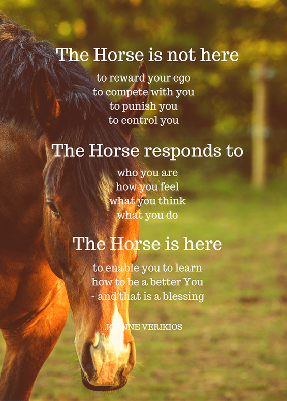 The Horse Is Not Here by Joanne Verikios Author